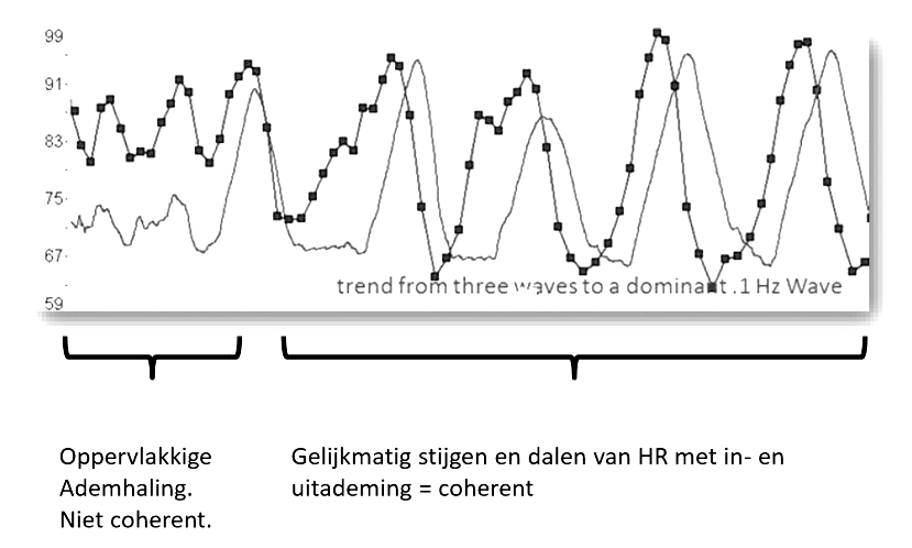 ademhaling en HRV curve