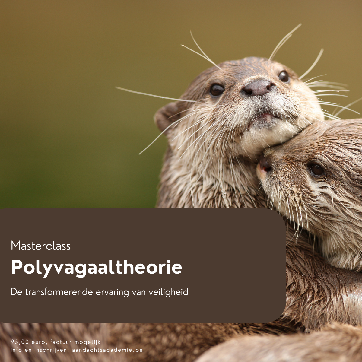 Masterclass Polyvagaaltheorie S Porges