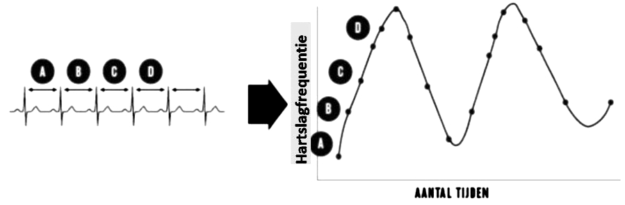 HRV curve uitlijnen